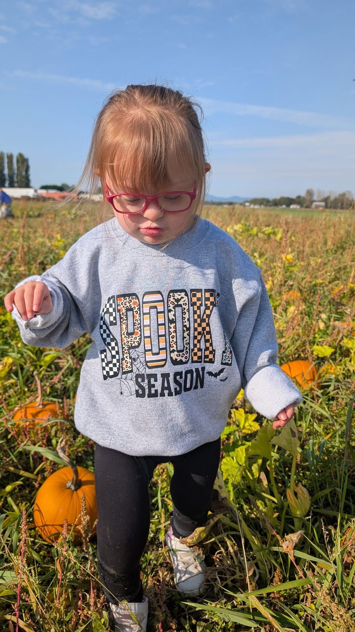 Kids Sweatshirts (please check description for sizing)